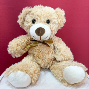 Cute beige teddy