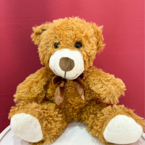 Cute brown teddy