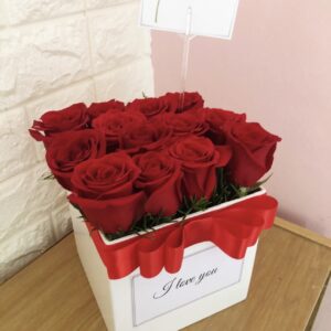 Florencia Box