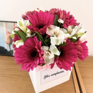 Vibrant Bloom Box